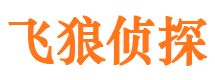 端州市私家侦探